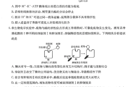 重庆市好教育联盟2026届高三（上）10月联考+生物_2025年10月_251016重庆市金太阳好教育联盟2026届高三10月联考（26-65C）（全科）