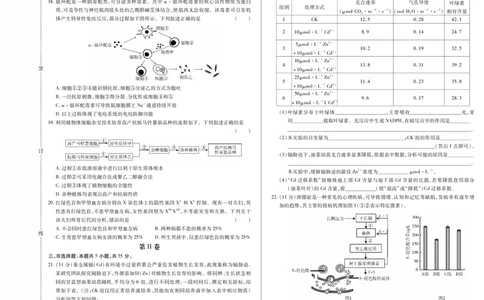 黑龙江省新时代高中教育联合体2026届高三上学期8月开学测试生物_2025年8月_250828黑龙江省新时代高中教育联合体2026届高三上学期8月开学测试（全科）