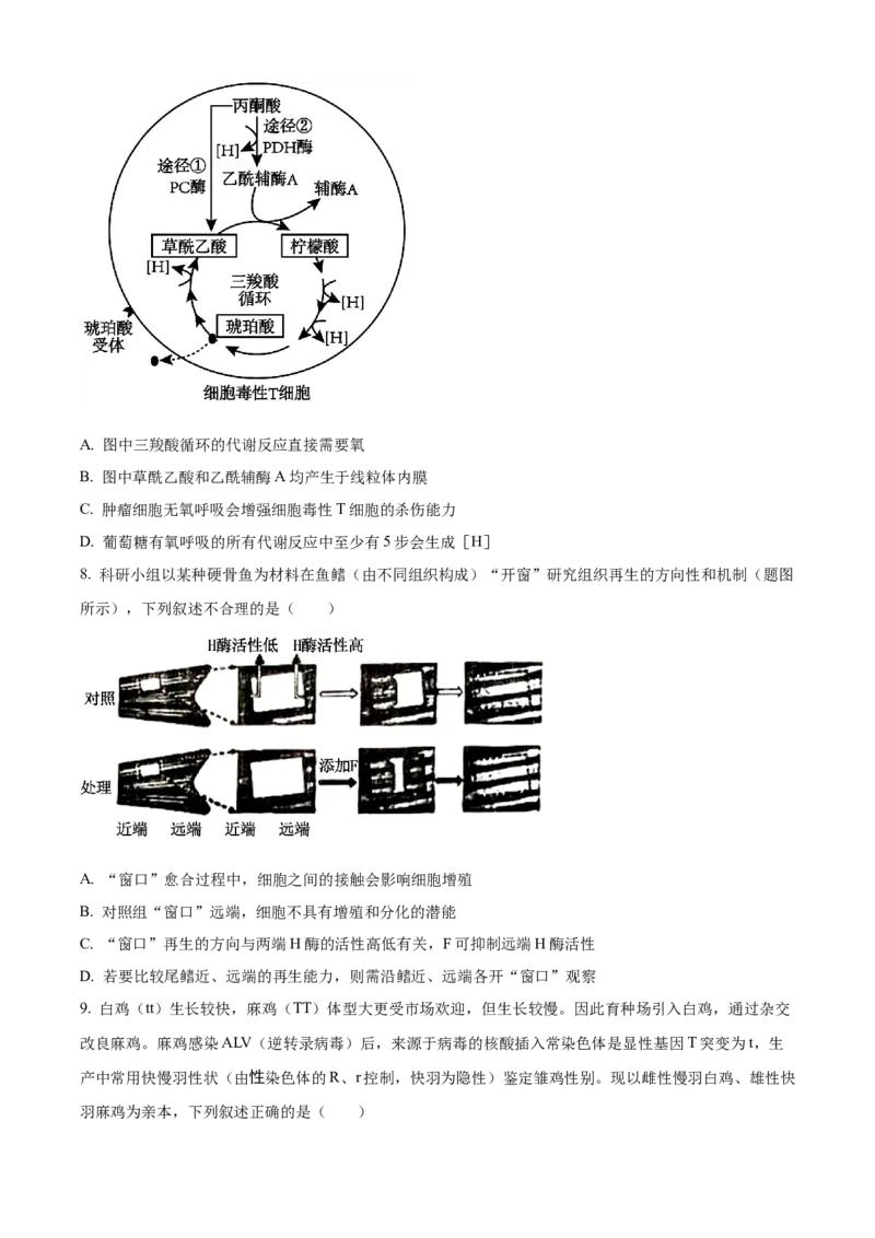 精品解析：2024年重庆新课标高考生物试卷（原卷版）_高考真题全网收集_生物学_2024年新高考重庆卷生物高考真题解析（参考版）