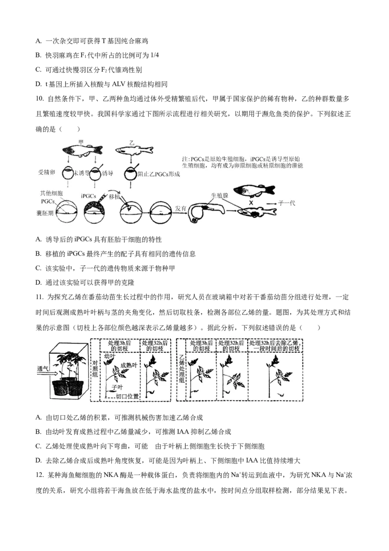 精品解析：2024年重庆新课标高考生物试卷（原卷版）_高考真题全网收集_生物学_2024年新高考重庆卷生物高考真题解析（参考版）