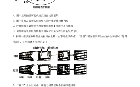 精品解析：2024年重庆新课标高考生物试卷（原卷版）_高考真题全网收集_生物学_2024年新高考重庆卷生物高考真题解析（参考版）