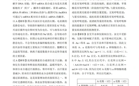 龙江教育联盟2026年1月高三上学期期末考试生物答案(1)_2026年1月_260116黑龙江省龙江教育联盟2026年1月高三上学期期末考试（全科）