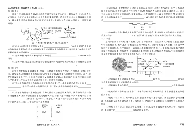 高三生物C版正文（2026届高三年级9月份联考）_2025年9月_250905衡水金卷四省（四川，云南）高三联考9月联考（全科）_生物C版