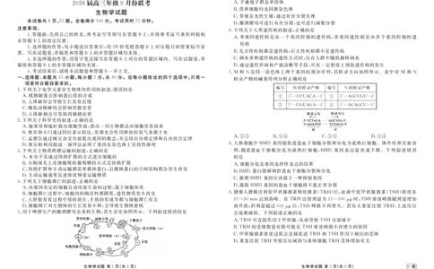 高三生物C版正文（2026届高三年级9月份联考）_2025年9月_250905衡水金卷四省（四川，云南）高三联考9月联考（全科）_生物C版