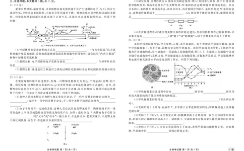 高三生物C版正文（2026届高三年级9月份联考）_2025年9月_250905衡水金卷四省（四川，云南）高三联考9月联考（全科）_生物C版