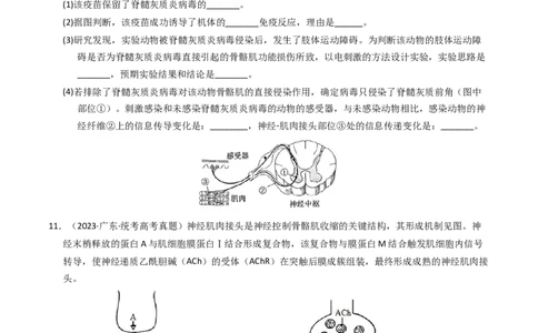 专题14免疫调节（学生卷）_近10年高考真题汇编（必刷）_十年（2014-2024）高考生物真题分项汇编（全国通用）_2023年高考真题和模拟题生物分项汇编（全国通用）