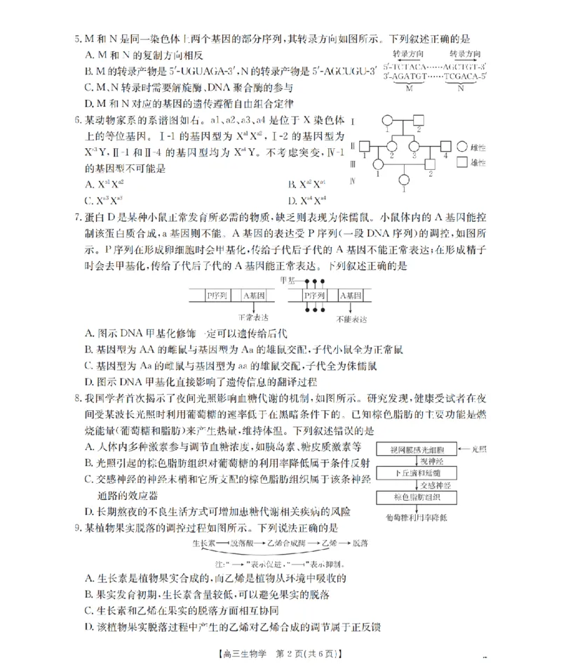 鄂州市2026届高三上学期第三届普通高中教师专业能力测试（解题大赛）+生物_2025年10月_251020鄂州市2026届高三上学期第三届普通高中教师专业能力测试（解题大赛）（全科）