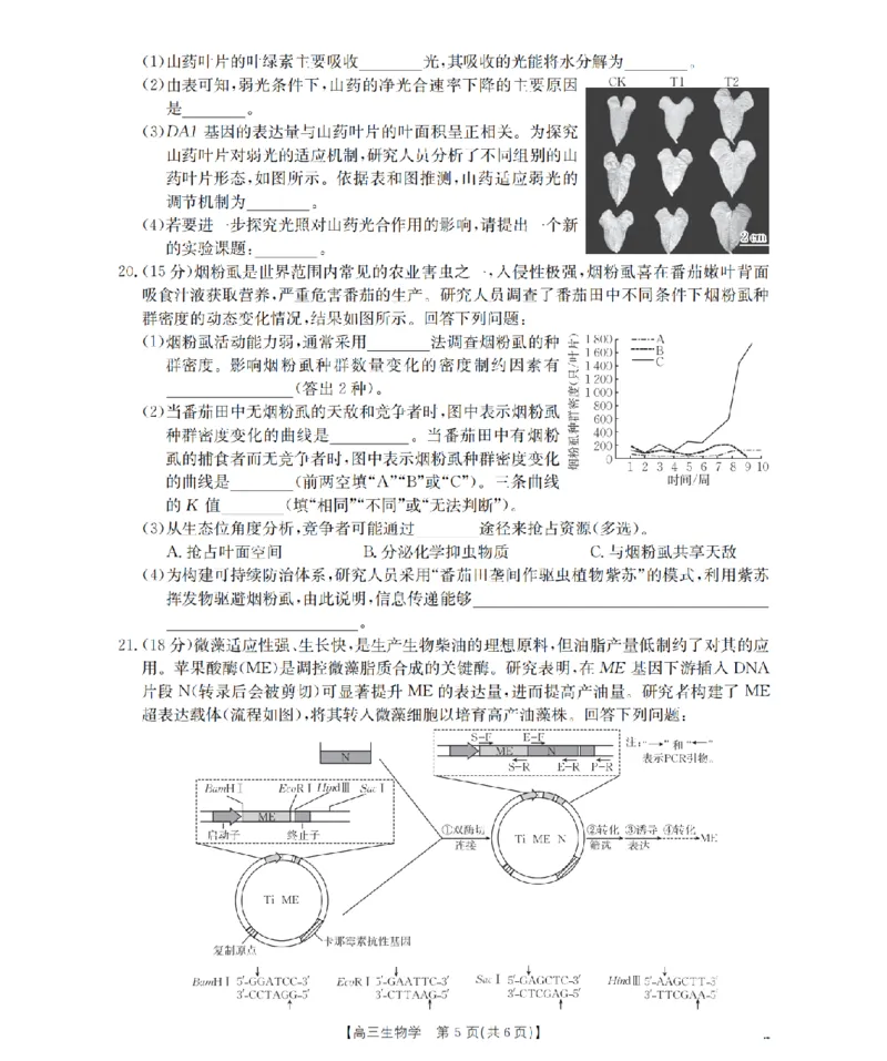 鄂州市2026届高三上学期第三届普通高中教师专业能力测试（解题大赛）+生物_2025年10月_251020鄂州市2026届高三上学期第三届普通高中教师专业能力测试（解题大赛）（全科）