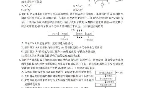 鄂州市2026届高三上学期第三届普通高中教师专业能力测试（解题大赛）+生物_2025年10月_251020鄂州市2026届高三上学期第三届普通高中教师专业能力测试（解题大赛）（全科）