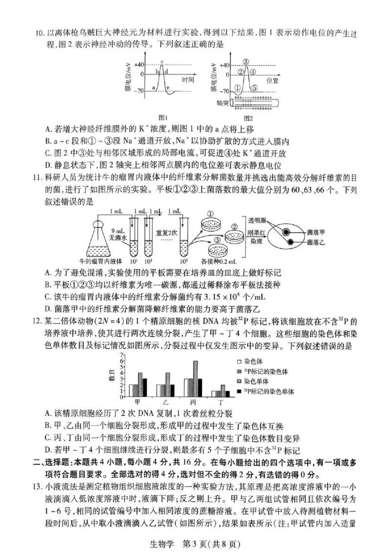 湖南省多校2025-2026学年高三上学期1月期末联考生物(1)_2026年1月_260128湖南省天一大联考高三2026年1月期末考试（怀化一模衡阳二模张家界一模湘西州一模）（全科）