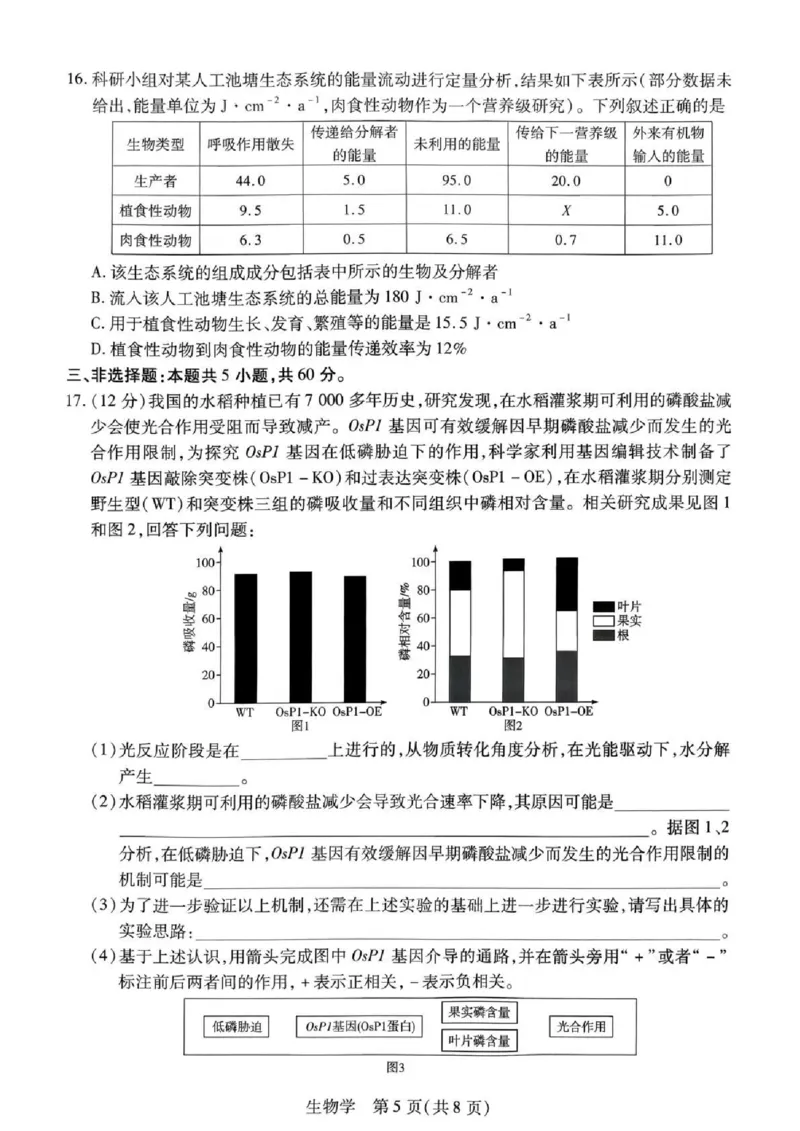 湖南省多校2025-2026学年高三上学期1月期末联考生物(1)_2026年1月_260128湖南省天一大联考高三2026年1月期末考试（怀化一模衡阳二模张家界一模湘西州一模）（全科）