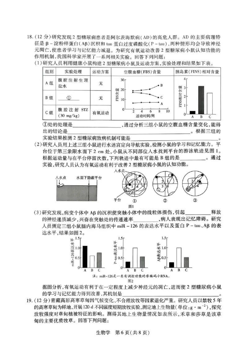 湖南省多校2025-2026学年高三上学期1月期末联考生物(1)_2026年1月_260128湖南省天一大联考高三2026年1月期末考试（怀化一模衡阳二模张家界一模湘西州一模）（全科）
