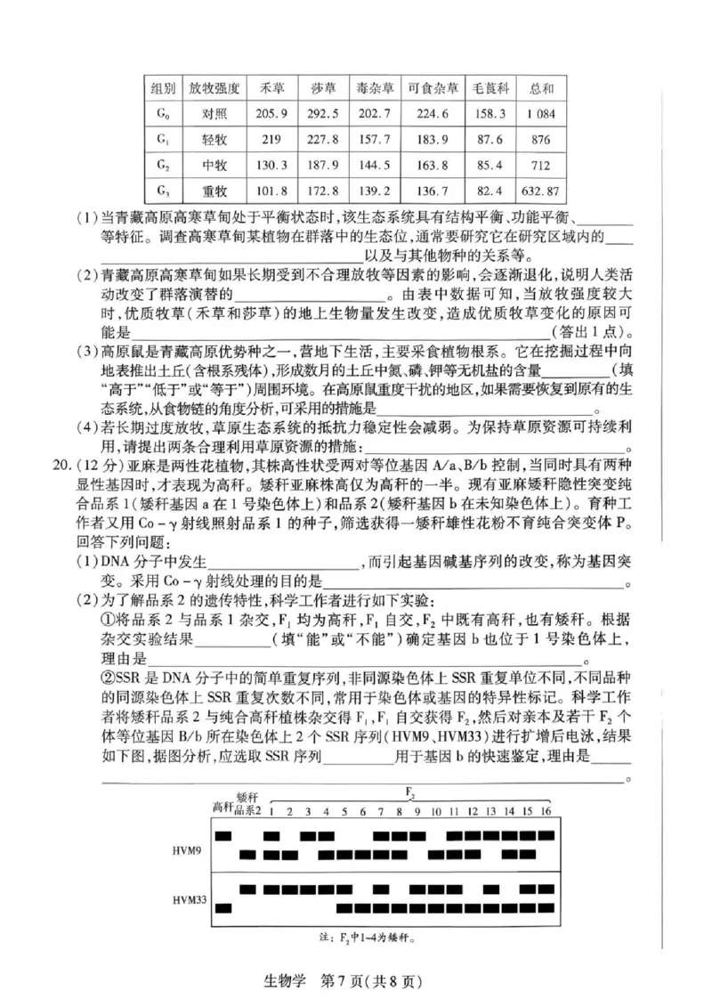 湖南省多校2025-2026学年高三上学期1月期末联考生物(1)_2026年1月_260128湖南省天一大联考高三2026年1月期末考试（怀化一模衡阳二模张家界一模湘西州一模）（全科）