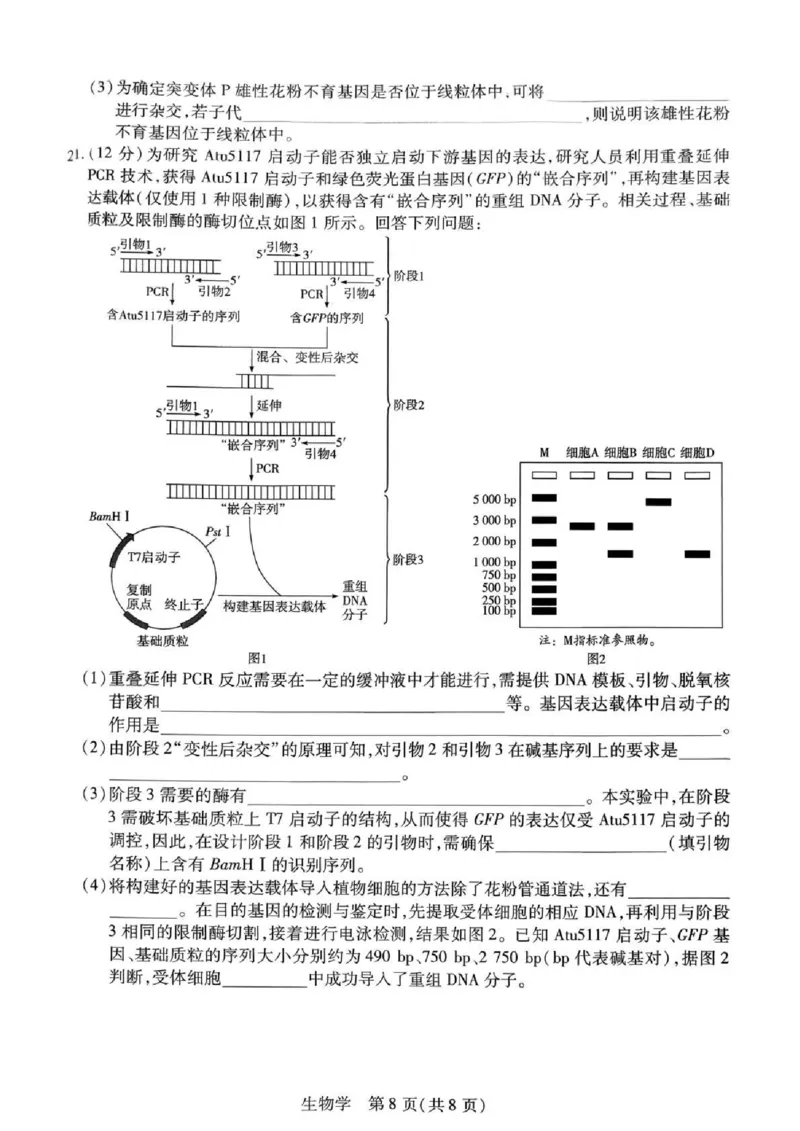 湖南省多校2025-2026学年高三上学期1月期末联考生物(1)_2026年1月_260128湖南省天一大联考高三2026年1月期末考试（怀化一模衡阳二模张家界一模湘西州一模）（全科）