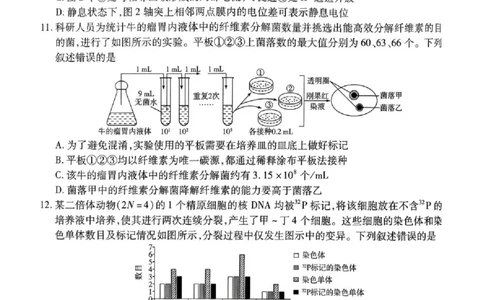 湖南省多校2025-2026学年高三上学期1月期末联考生物(1)_2026年1月_260128湖南省天一大联考高三2026年1月期末考试（怀化一模衡阳二模张家界一模湘西州一模）（全科）