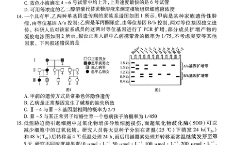 湖南省多校2025-2026学年高三上学期1月期末联考生物(1)_2026年1月_260128湖南省天一大联考高三2026年1月期末考试（怀化一模衡阳二模张家界一模湘西州一模）（全科）