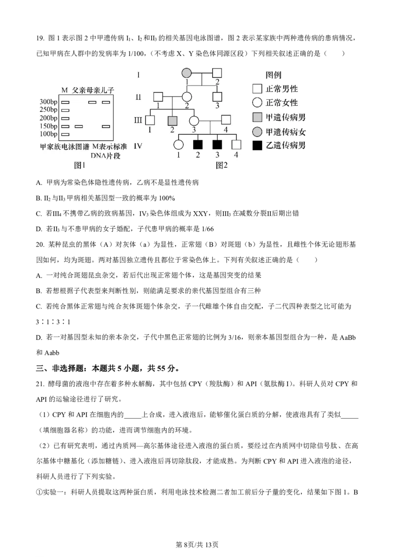 山东省实验中学2023-2024学年高三上学期第一次诊断考试生物(1)_2023年10月_0210月合集_2024届山东省实验中学高三上学期第一次诊断考试