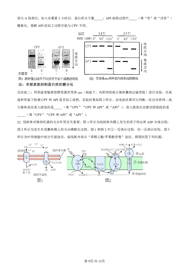山东省实验中学2023-2024学年高三上学期第一次诊断考试生物(1)_2023年10月_0210月合集_2024届山东省实验中学高三上学期第一次诊断考试