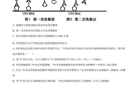 山东省实验中学2023-2024学年高三上学期第一次诊断考试生物(1)_2023年10月_0210月合集_2024届山东省实验中学高三上学期第一次诊断考试