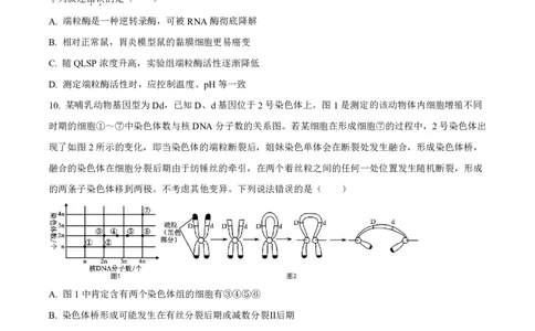 山东省实验中学2023-2024学年高三上学期第一次诊断考试生物(1)_2023年10月_0210月合集_2024届山东省实验中学高三上学期第一次诊断考试