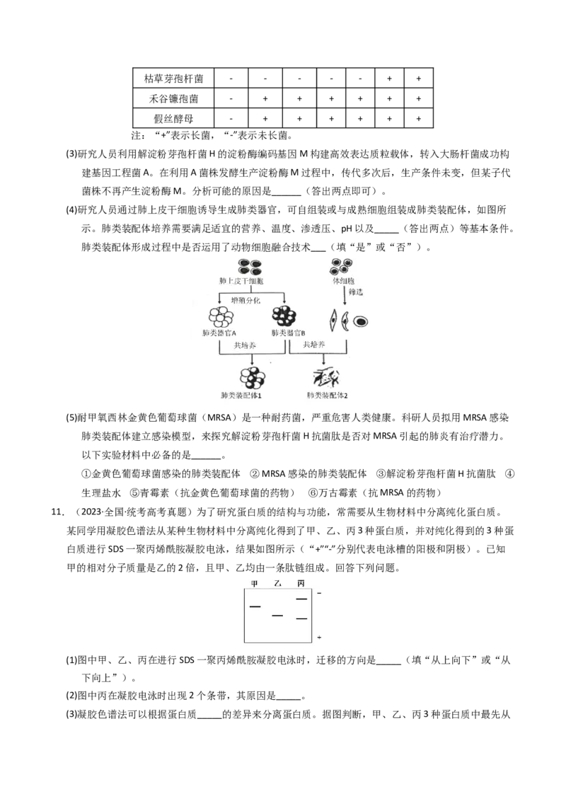 专题17发酵工程（学生卷）_近10年高考真题汇编（必刷）_十年（2014-2024）高考生物真题分项汇编（全国通用）_2023年高考真题和模拟题生物分项汇编（全国通用）