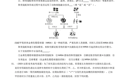 专题17发酵工程（学生卷）_近10年高考真题汇编（必刷）_十年（2014-2024）高考生物真题分项汇编（全国通用）_2023年高考真题和模拟题生物分项汇编（全国通用）