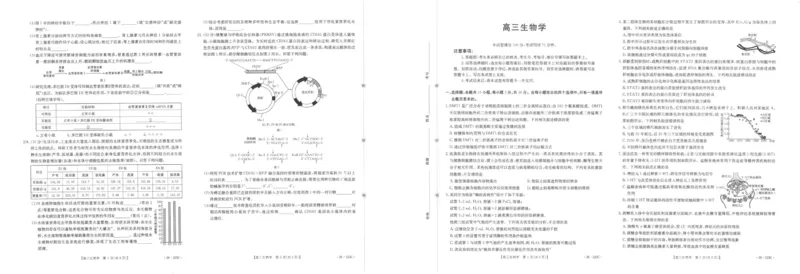 陕西省2026届高三上学期1月期末联考（26-223C）生物(1)_2026年1月_260129金太阳&middot;陕西省2026届高三上学期1月期末联考（26-223C）（全科）