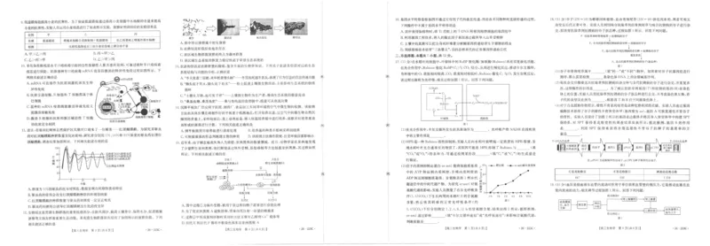 陕西省2026届高三上学期1月期末联考（26-223C）生物(1)_2026年1月_260129金太阳&middot;陕西省2026届高三上学期1月期末联考（26-223C）（全科）