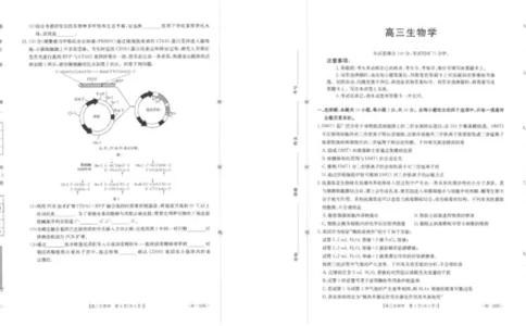 陕西省2026届高三上学期1月期末联考（26-223C）生物(1)_2026年1月_260129金太阳&middot;陕西省2026届高三上学期1月期末联考（26-223C）（全科）