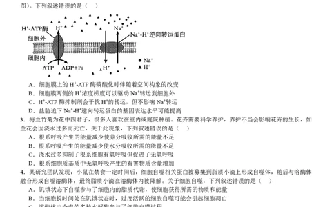 甘肃生物-试题-p_近10年高考真题汇编（必刷）_2024年高考真题_高考真题（截止6.29）_其他地方卷（目前搜集不完整）_甘肃卷（物、化、生、地）