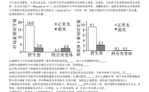 甘肃生物-试题-p_近10年高考真题汇编（必刷）_2024年高考真题_高考真题（截止6.29）_其他地方卷（目前搜集不完整）_甘肃卷（物、化、生、地）