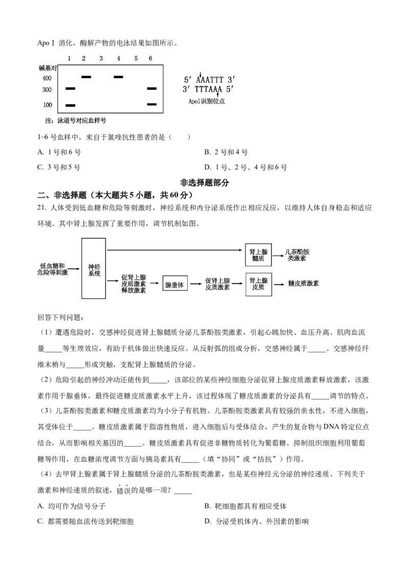 精品解析：2024年6月浙江卷生物高考真题（原卷版）_高考真题全网收集_生物学_2024年新高考6月浙江卷生物高考真题解析（参考版）
