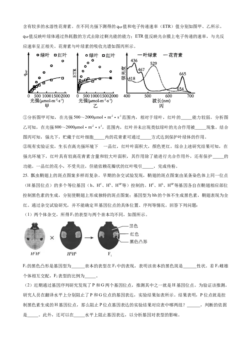精品解析：2024年6月浙江卷生物高考真题（原卷版）_高考真题全网收集_生物学_2024年新高考6月浙江卷生物高考真题解析（参考版）