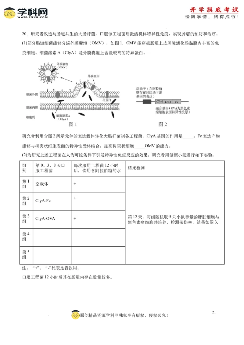 生物（北京卷）（全解全析）_2024届新高三开学摸底考试卷_生物-2024届新高三开学摸底考试卷_生物-2024届新高三开学摸底考试卷（北京卷）