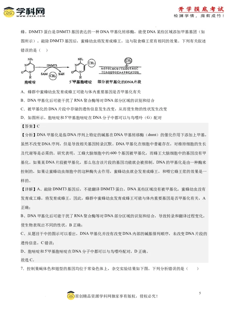 生物（北京卷）（全解全析）_2024届新高三开学摸底考试卷_生物-2024届新高三开学摸底考试卷_生物-2024届新高三开学摸底考试卷（北京卷）