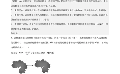 生物（北京卷）（全解全析）_2024届新高三开学摸底考试卷_生物-2024届新高三开学摸底考试卷_生物-2024届新高三开学摸底考试卷（北京卷）
