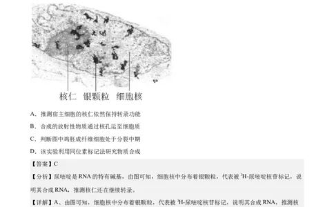 生物（北京卷）（全解全析）_2024届新高三开学摸底考试卷_生物-2024届新高三开学摸底考试卷_生物-2024届新高三开学摸底考试卷（北京卷）