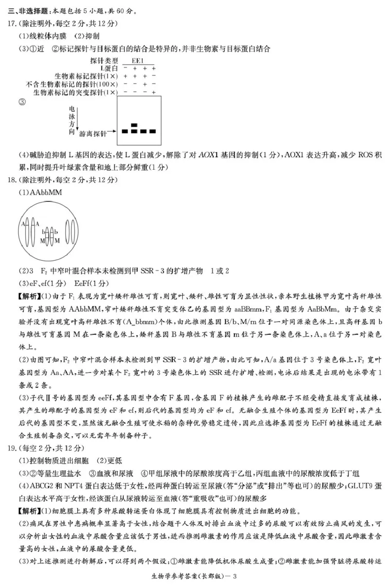 生物答案（26长郡五）(1)_2026年1月_260104湖南省长沙市长郡中学2025-2026学年高三上学期月考（五）_湖南省长沙市长郡中学2025-2026学年高三上学期月考（五）生物试题（含答案）