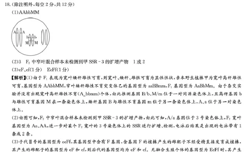 生物答案（26长郡五）(1)_2026年1月_260104湖南省长沙市长郡中学2025-2026学年高三上学期月考（五）_湖南省长沙市长郡中学2025-2026学年高三上学期月考（五）生物试题（含答案）