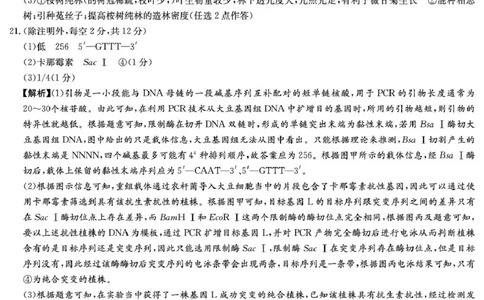 生物答案（26长郡五）(1)_2026年1月_260104湖南省长沙市长郡中学2025-2026学年高三上学期月考（五）_湖南省长沙市长郡中学2025-2026学年高三上学期月考（五）生物试题（含答案）