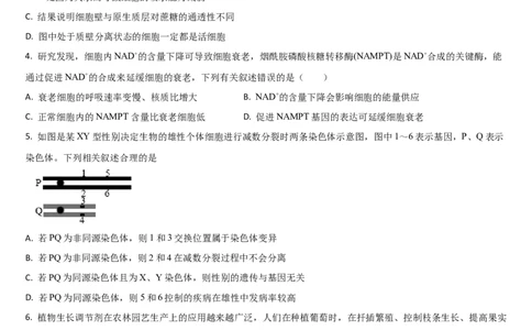 吉林省梅河口市第五中学2023-2024学年高三上学期开学生物试题(1)_2023年9月_029月合集_2024届吉林省梅河口市第五中学高三上学期开学