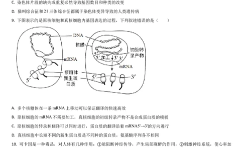吉林省梅河口市第五中学2023-2024学年高三上学期开学生物试题(1)_2023年9月_029月合集_2024届吉林省梅河口市第五中学高三上学期开学
