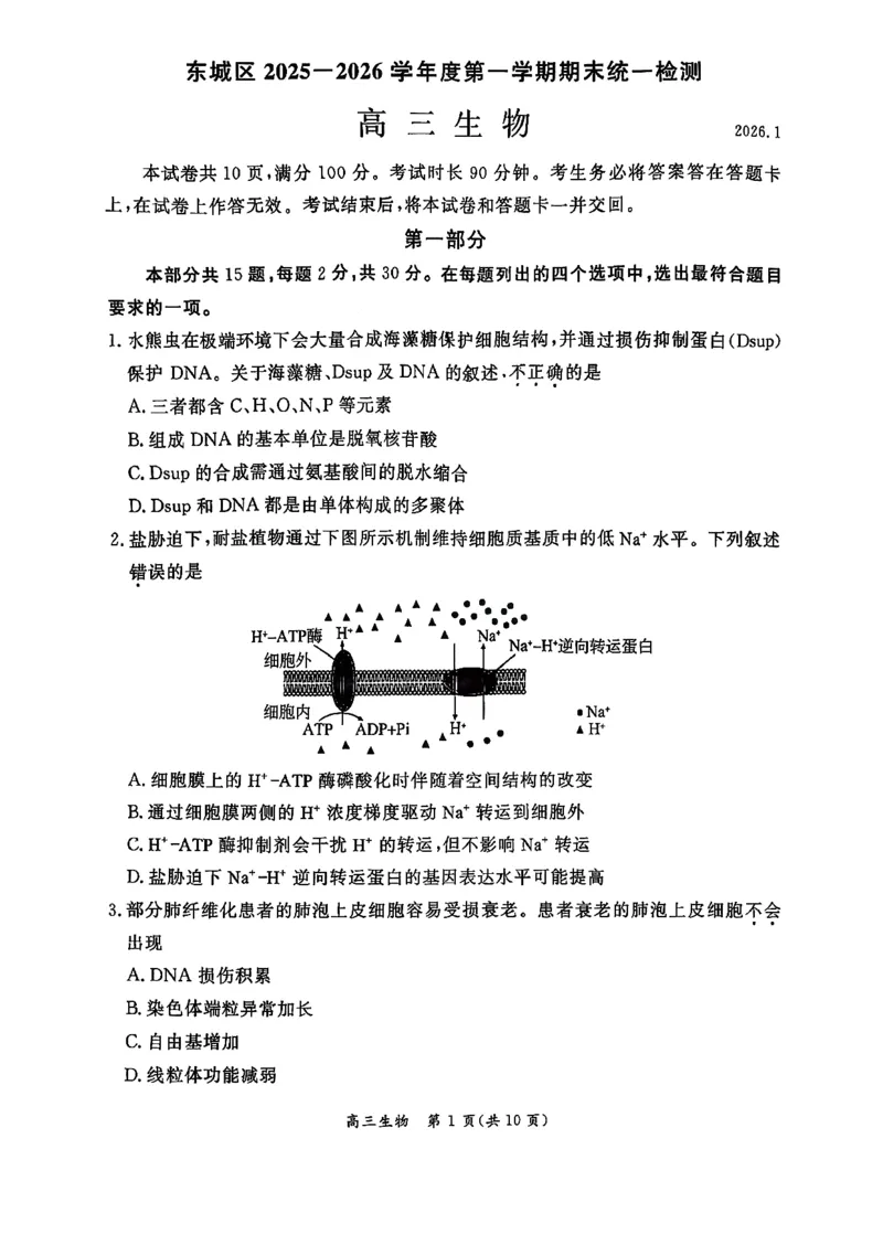 生物试题(1)_2026年1月_260115北京市东城区2025-2026学年高三上学期1月期末考试（全科）_北京市东城区2025-2026学年高三上学期期末考试生物