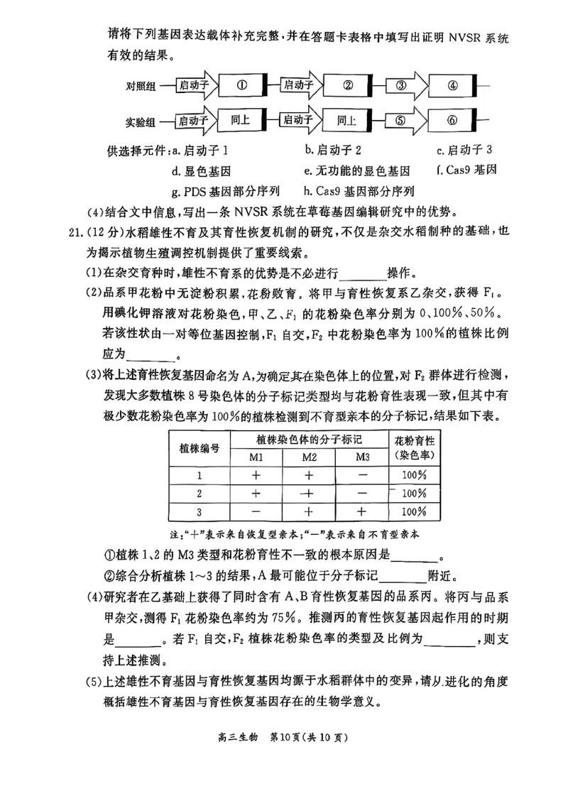 生物试题(1)_2026年1月_260115北京市东城区2025-2026学年高三上学期1月期末考试（全科）_北京市东城区2025-2026学年高三上学期期末考试生物