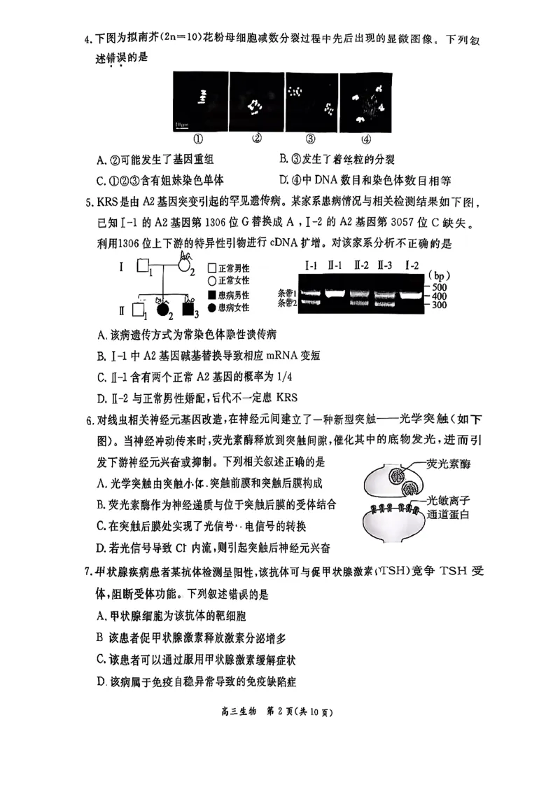 生物试题(1)_2026年1月_260115北京市东城区2025-2026学年高三上学期1月期末考试（全科）_北京市东城区2025-2026学年高三上学期期末考试生物