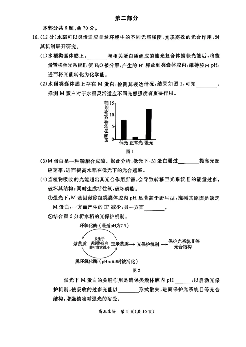 生物试题(1)_2026年1月_260115北京市东城区2025-2026学年高三上学期1月期末考试（全科）_北京市东城区2025-2026学年高三上学期期末考试生物