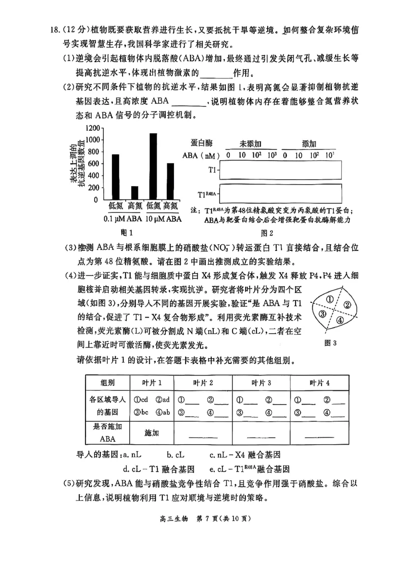 生物试题(1)_2026年1月_260115北京市东城区2025-2026学年高三上学期1月期末考试（全科）_北京市东城区2025-2026学年高三上学期期末考试生物