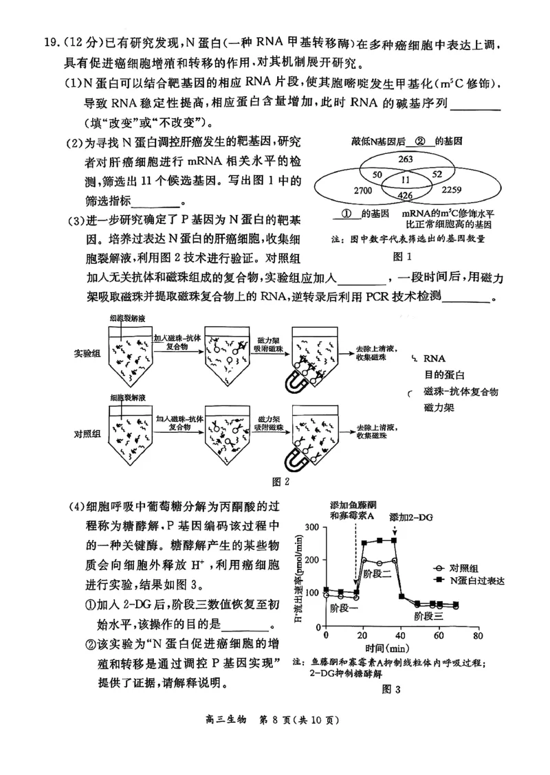 生物试题(1)_2026年1月_260115北京市东城区2025-2026学年高三上学期1月期末考试（全科）_北京市东城区2025-2026学年高三上学期期末考试生物