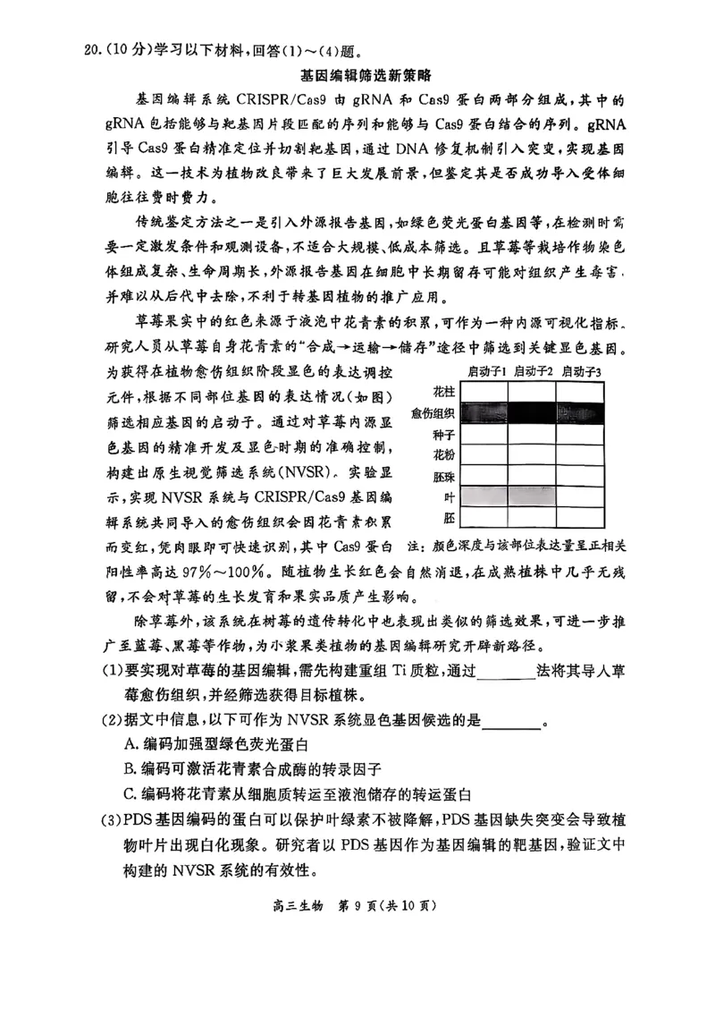 生物试题(1)_2026年1月_260115北京市东城区2025-2026学年高三上学期1月期末考试（全科）_北京市东城区2025-2026学年高三上学期期末考试生物