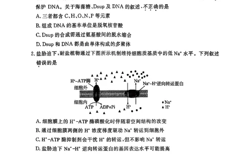 生物试题(1)_2026年1月_260115北京市东城区2025-2026学年高三上学期1月期末考试（全科）_北京市东城区2025-2026学年高三上学期期末考试生物